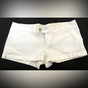 NWT AMERICAN EAGLE OUTFITTERS SHORTS